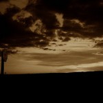 Lonely Stop Sign at Dusk