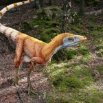 Sinosauropteryx