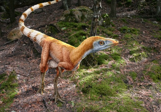 Sinosauropteryx