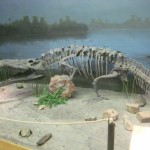 Phytosaur