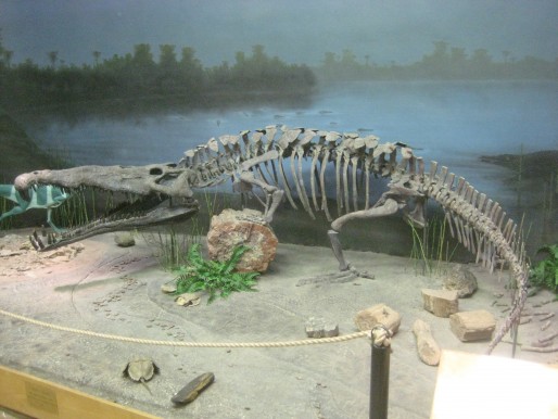 Phytosaur