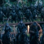 Dawn of the Planet of the Apes Movie Shot