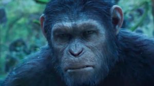 Dawn of the Planet of the Apes Movie Shot