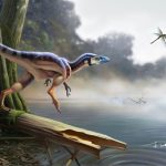 A Brief Overview of the Dinosaurs: Part 6, Coelurosauria