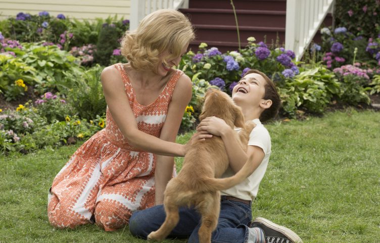 A Dog's Purpose Movie Shot