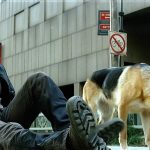 I Am Legend Movie Shot